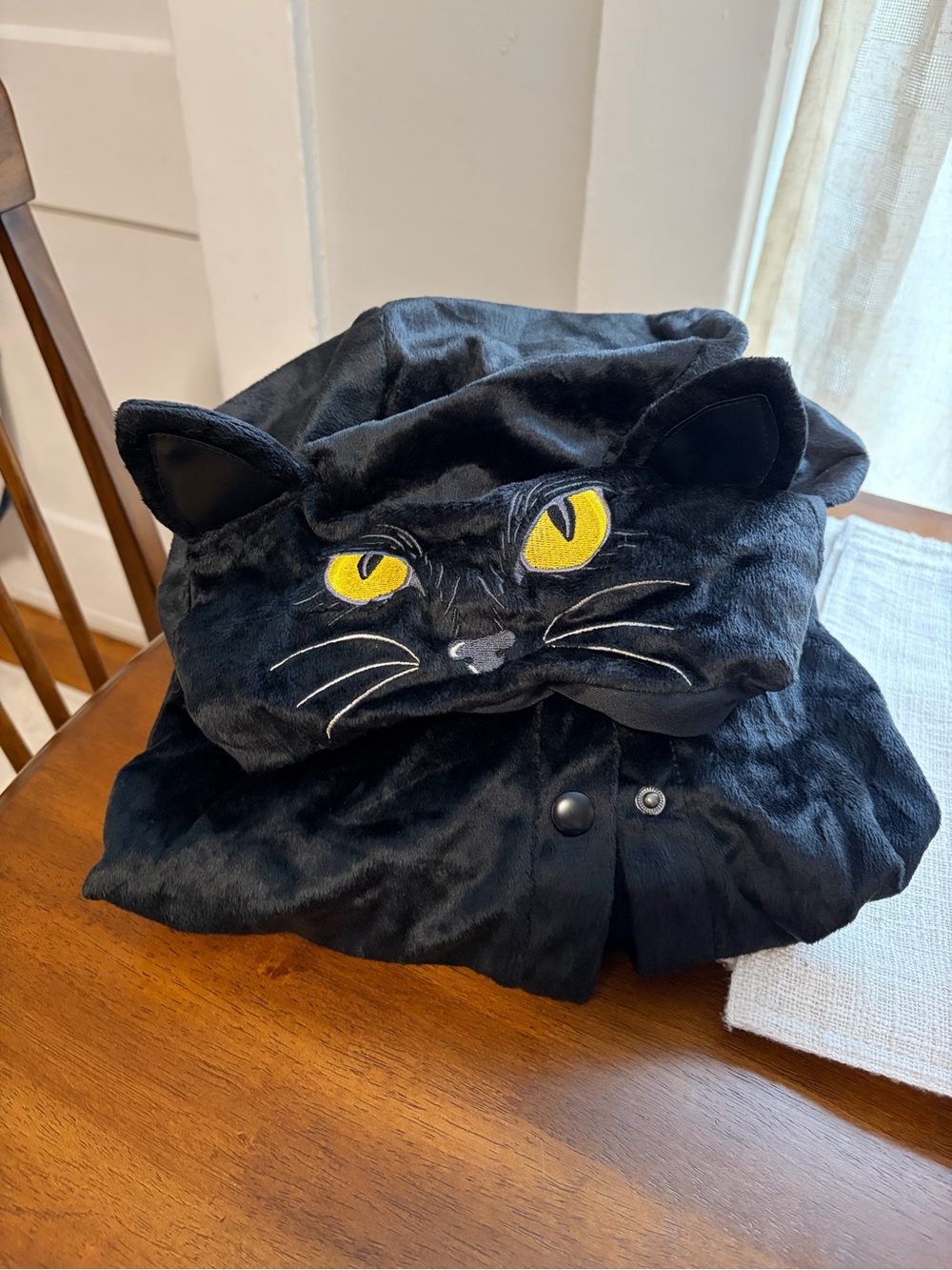 Thackery Binx Costume “Hocus Pocus”